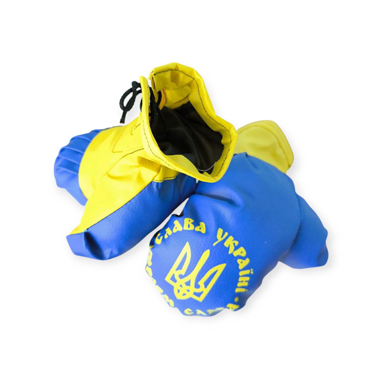 Набір боксерський дитячий Champion Ukraine середній