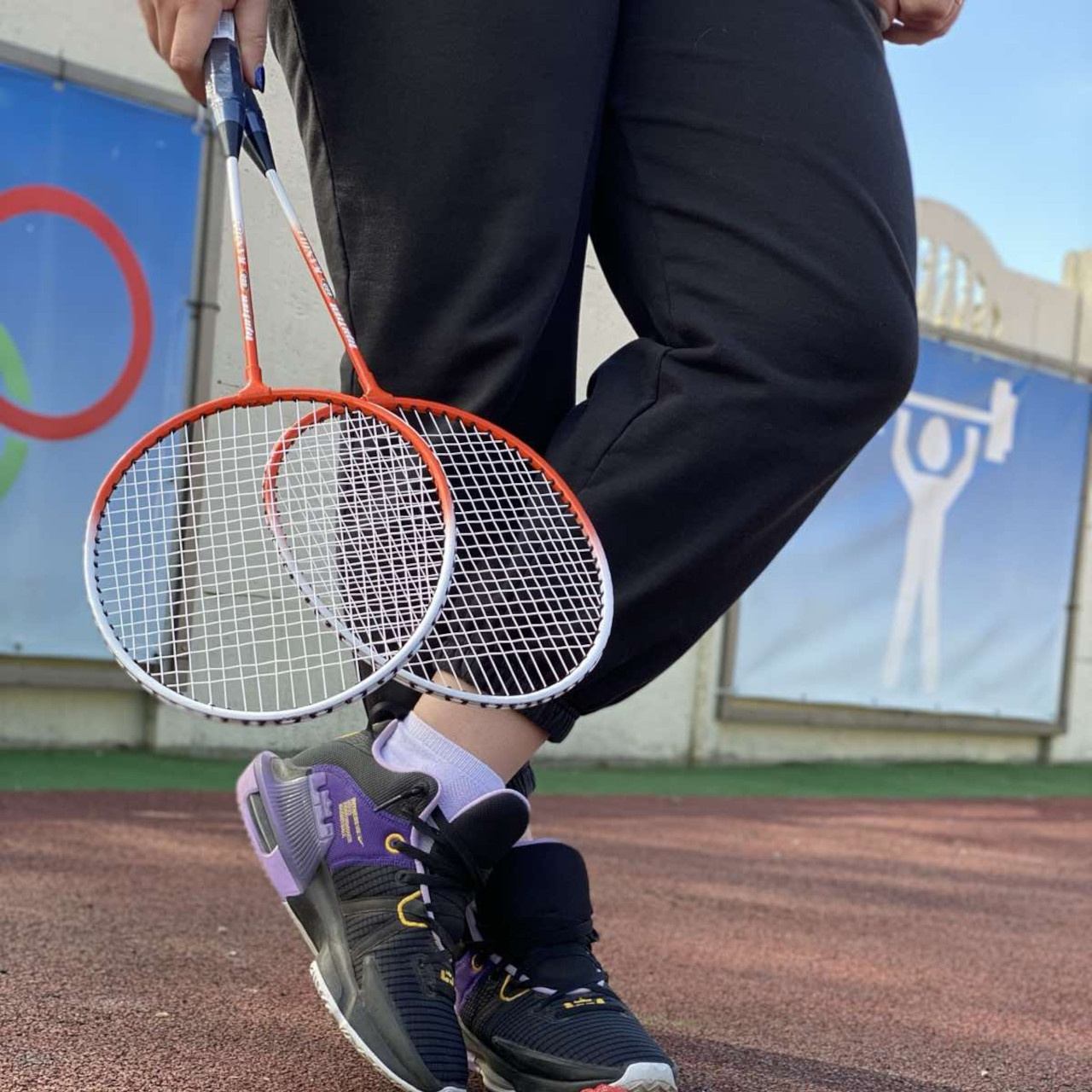 Набір для бадмінтону WUDISHEN 660