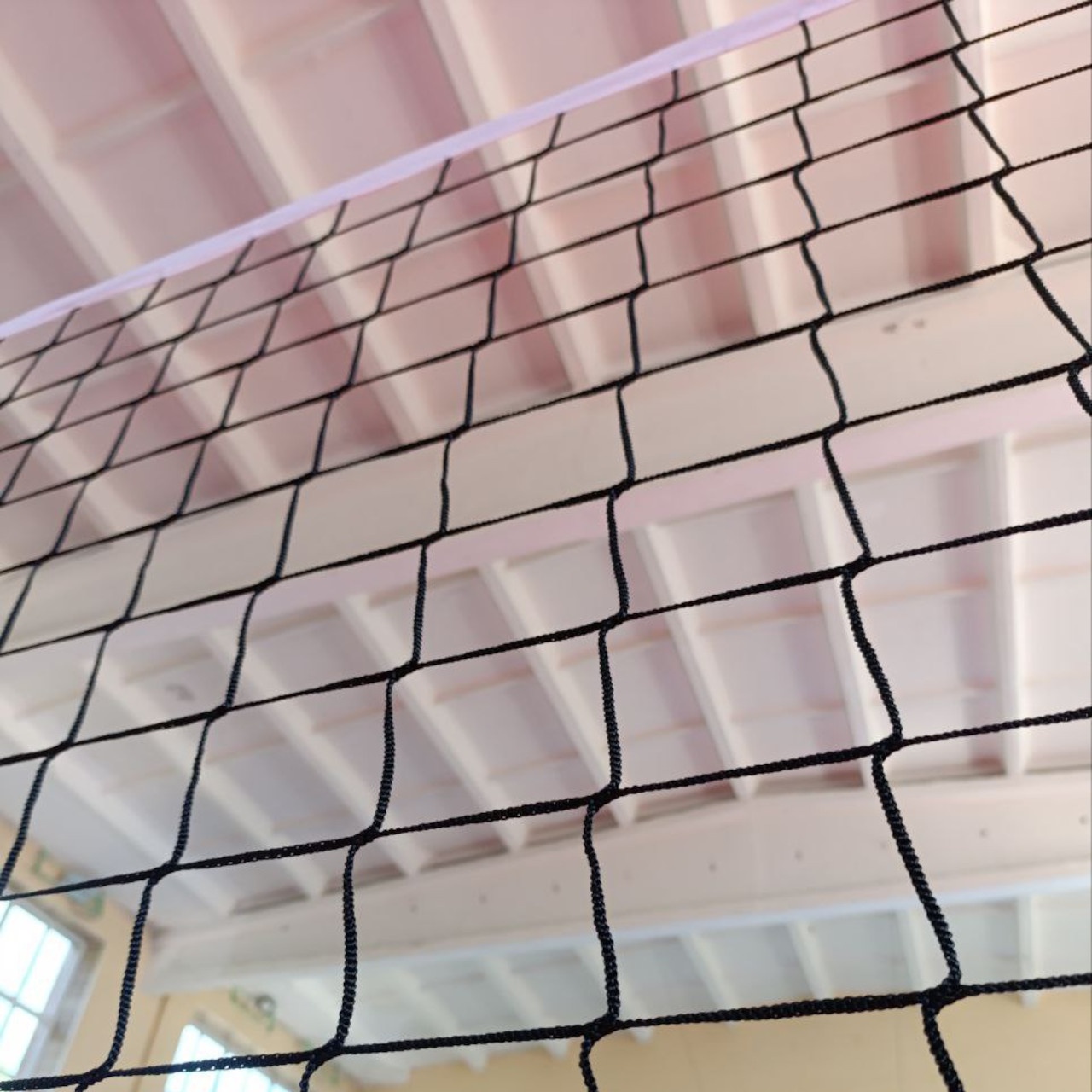 Сітка волейбольна з тросом у сумочці 4005-1-С