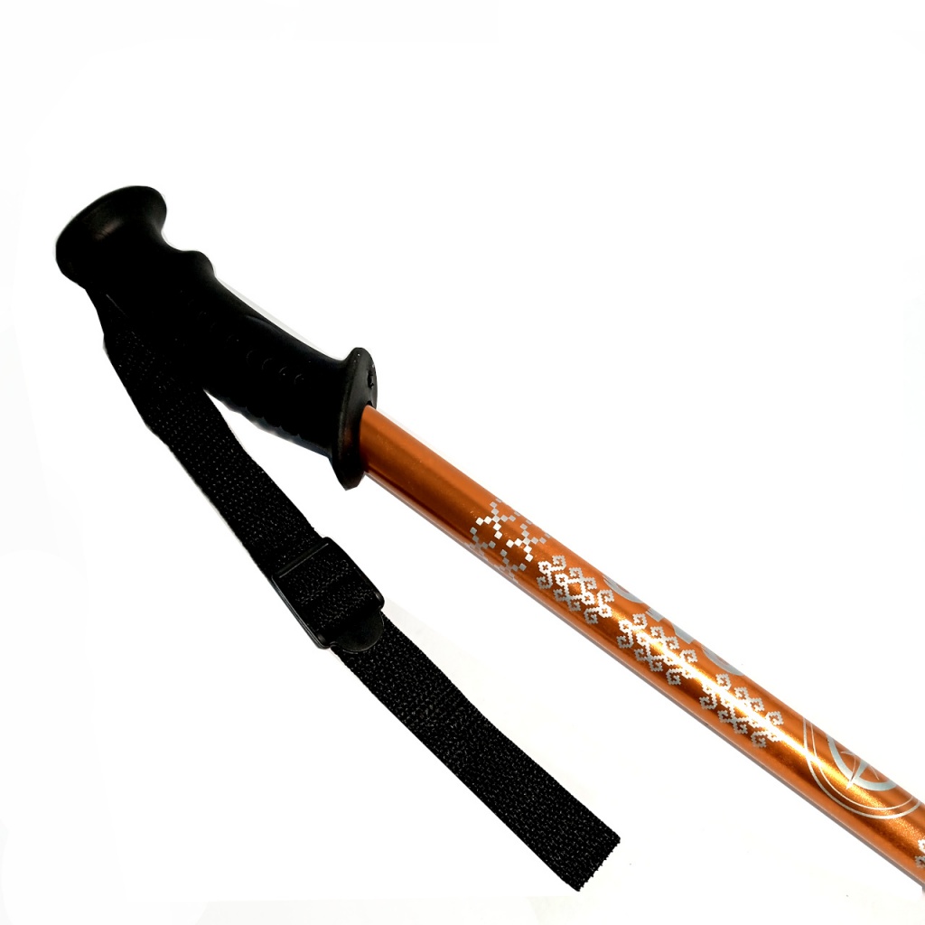 Палиці трекінгові SNS жовті G-DS1-Ж