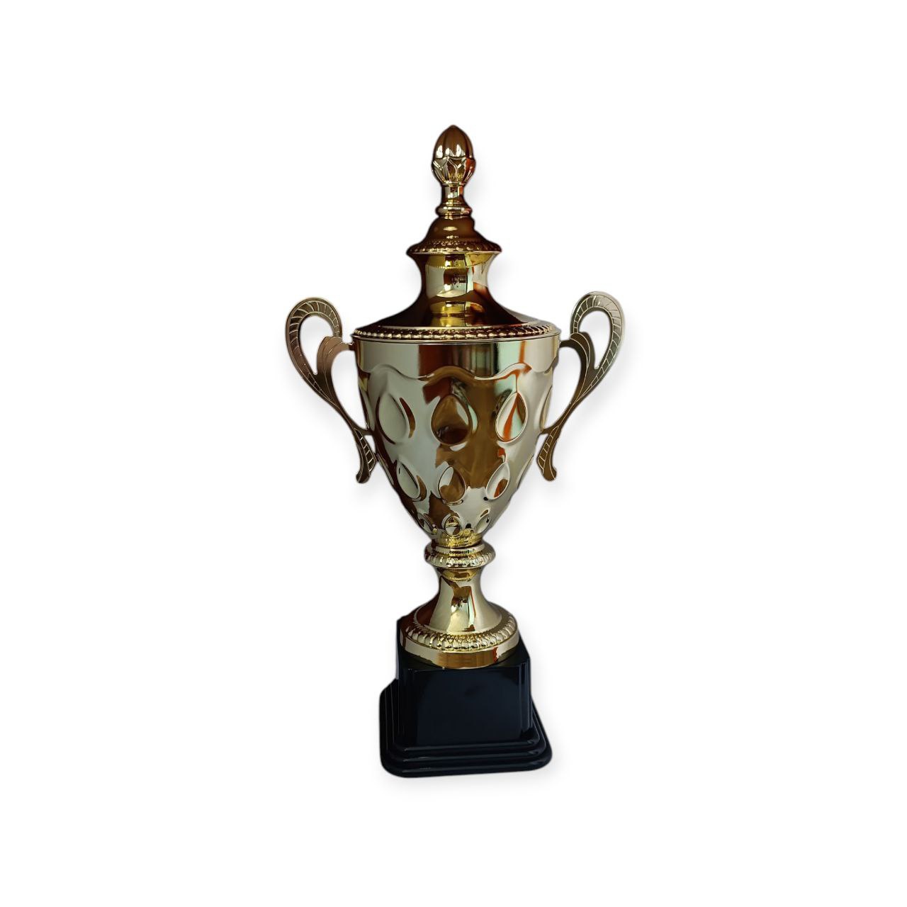 Кубок для нагородження золото 70 см 1580-A-G